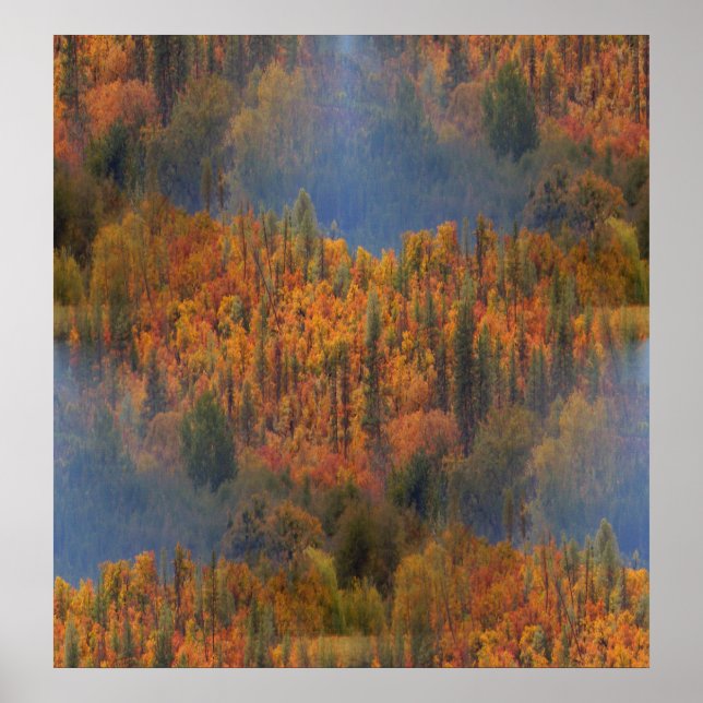 Beauty in the  Fall.... Poster (Front)