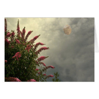 Beauty In The Storm