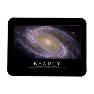 Beauty: Inspirational Quote 2 Magnet