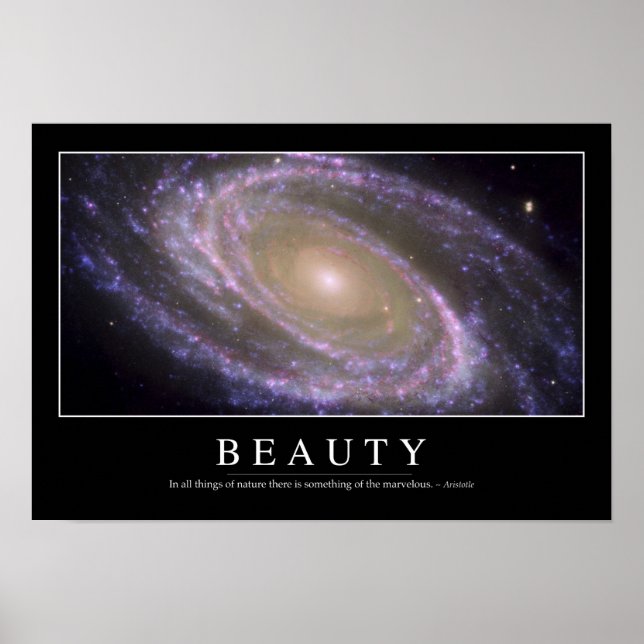Beauty: Inspirational Quote 2 Poster (Front)
