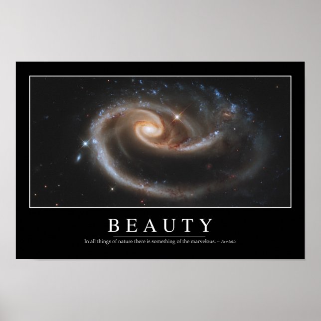 Beauty: Inspirational Quote 3 Poster (Front)