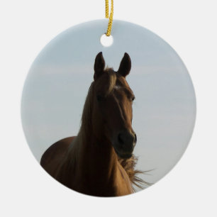 Beauty is a Horse ornament