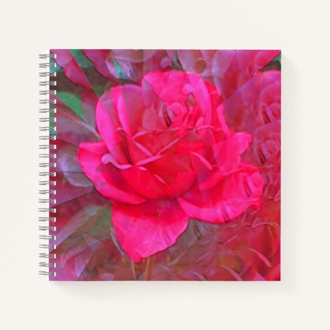 Beauty is in..... notebook (Front)