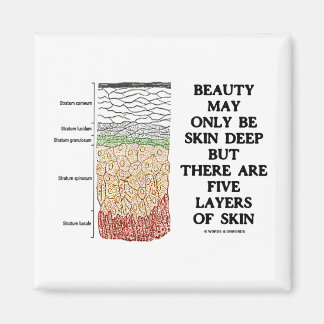 Beauty May Be Skin Deep But Five Layers Of Skin Magnet