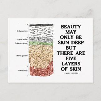 Beauty May Be Skin Deep But Five Layers Of Skin Postcard