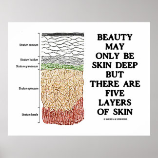 Beauty May Be Skin Deep But Five Layers Of Skin Poster