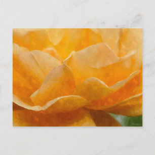 Beauty Of A Rose Painterly Postcard