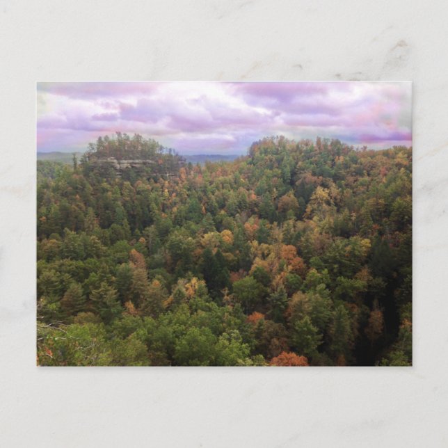 Beauty of Autumn Postcard (Front)