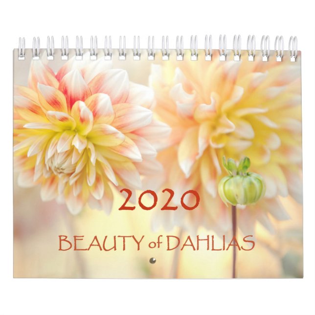 Beauty of Dahlias Flowers 2020 Calendar (Cover)