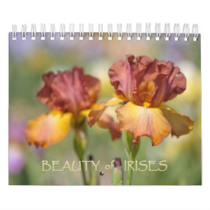 Beauty of Irises Calendar