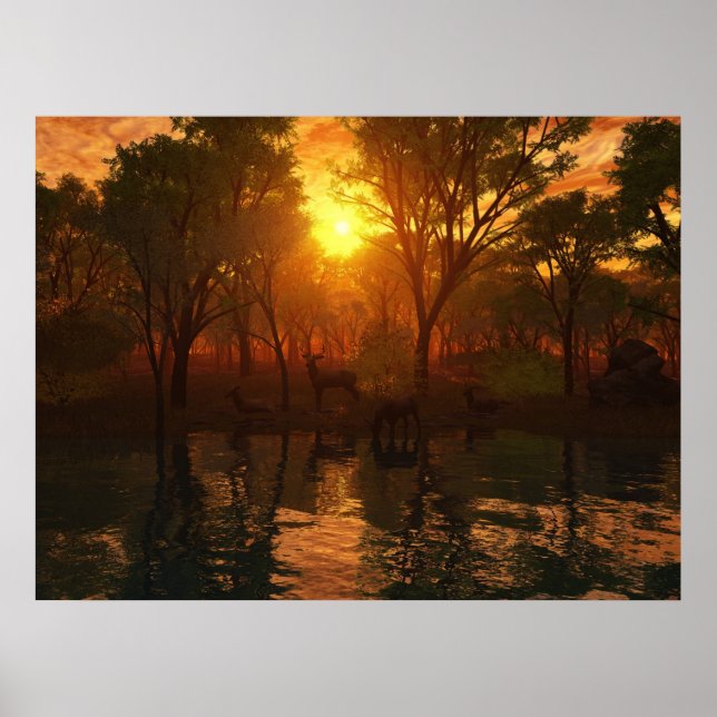 Beauty Of Nature Poster (Front)