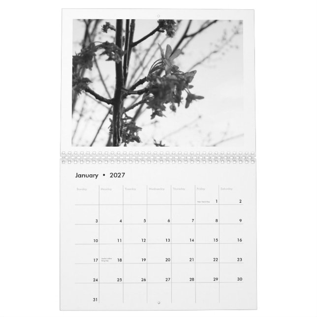 Beauty of Nature... the black & white edition Calendar (Jan 2027)