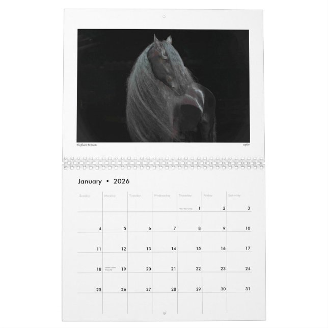 Beauty of the Horse Calendar 2015 (Jan 2026)