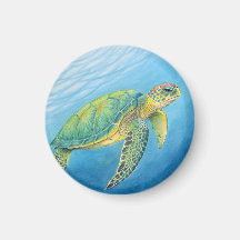 Beauty of the turtle