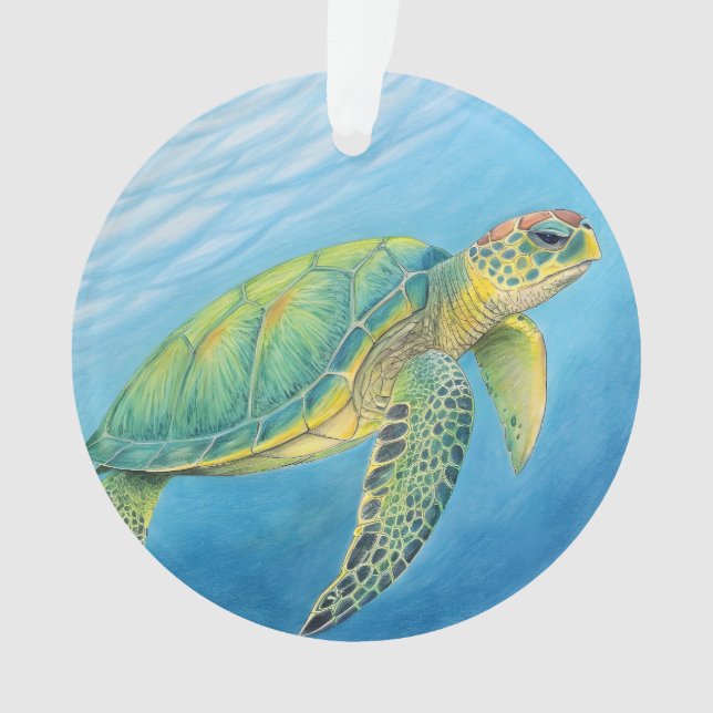 Beauty of the turtle ornament (Front)