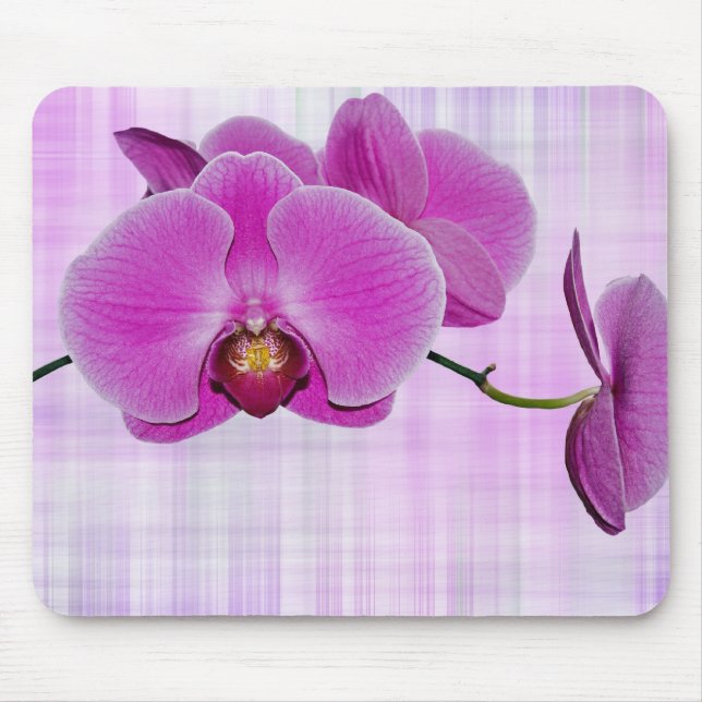 Beauty On Plaid Mouse Mat (Front)