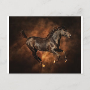 Beauty on the run postcard