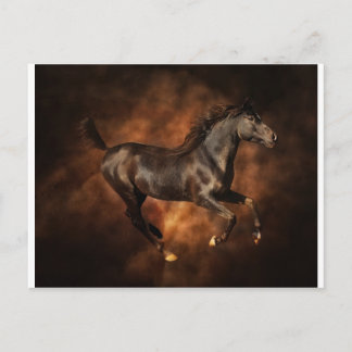Beauty on the run postcard