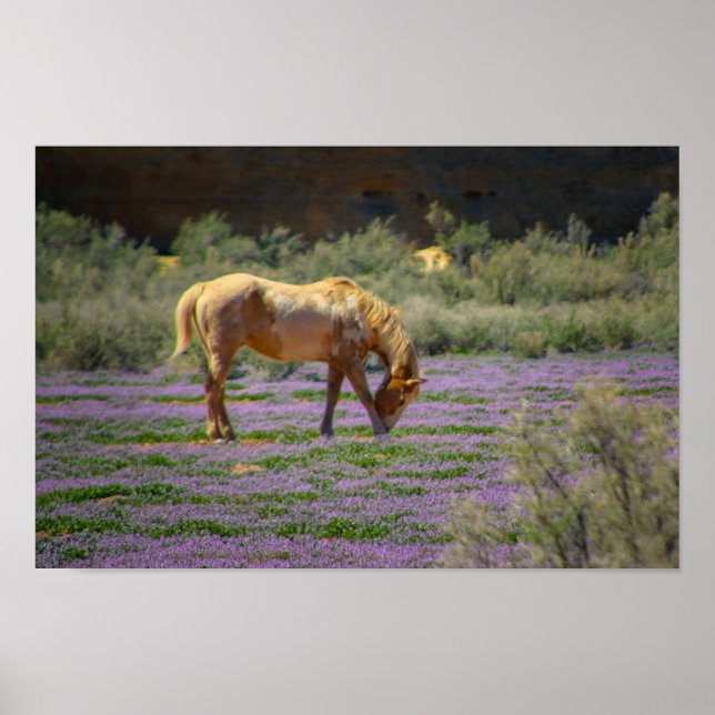 Beauty Poster (Front)