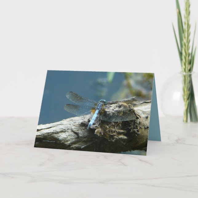 Beauty Remains Card (Front)