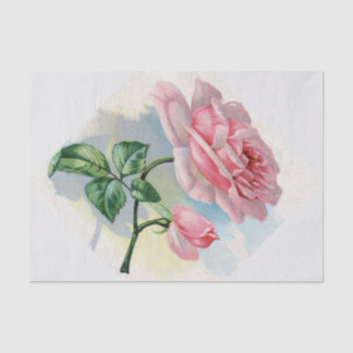 Beauty Rose Pink on Grey Tissue Paper
