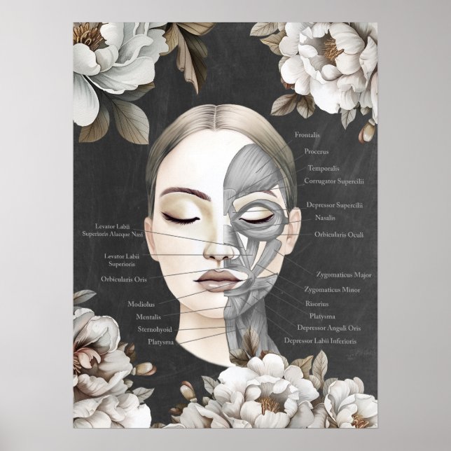 Beauty Salon Facial Muscle Anatomy Decor (Front)