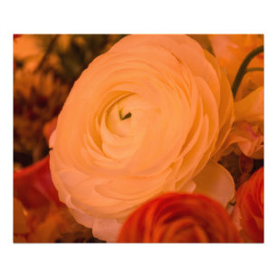 Beauty Surrounds 24x20 Kodak Photo Paper (Satin) Print