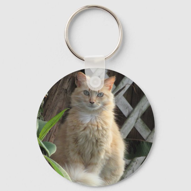 Beauty - The Prettiest Stray Cat -  Key Chain (Front)