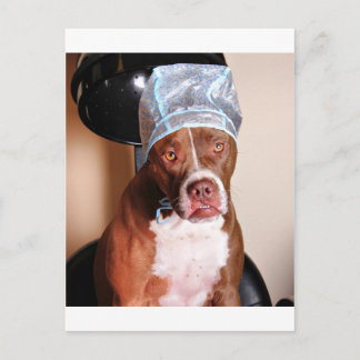 Beauty treatment postcard