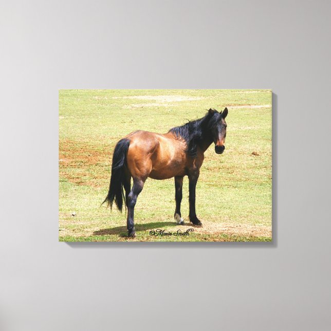 Beauty Wrapped Canvas (Front)