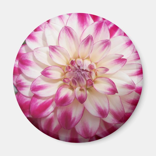 Beaux Magnet (Front)