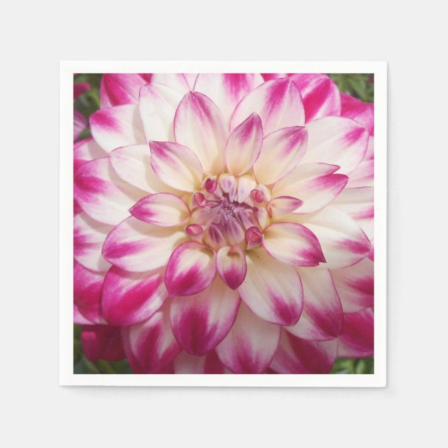 Beaux Napkin (Front)