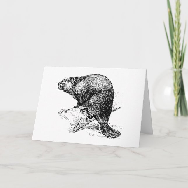 Beaver #1 card (Front)