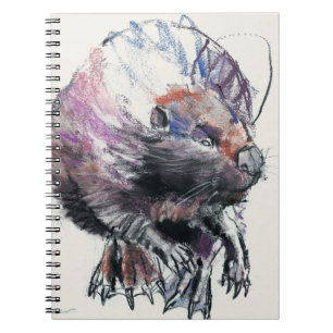 Beaver 2001 notebook