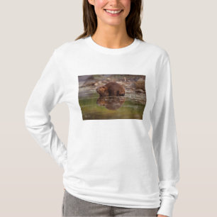 beaver, Castor canadensis, goes for a swim T-Shirt
