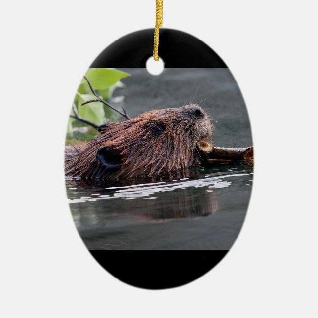 beaver ceramic tree decoration (Front)