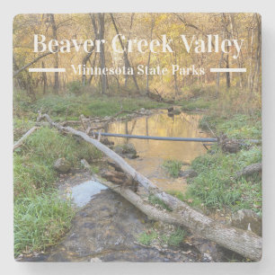 Beaver Creek Valley State Park Coaster