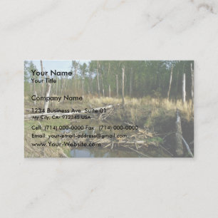 Beaver Dam Business Card