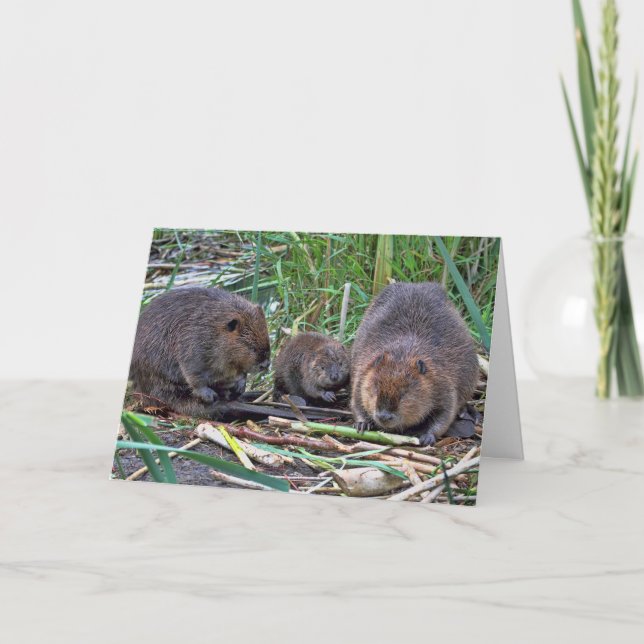 Beaver Family Card (Front)