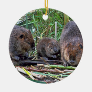 Beaver Family Ceramic Tree Decoration