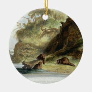 Beaver Hut on the Missouri, plate 17 from volume 1 Ceramic Tree Decoration