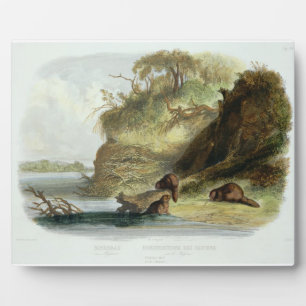 Beaver Hut on the Missouri, plate 17 from volume 1 Plaque
