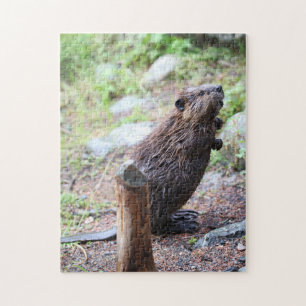 Beaver Jigsaw Puzzle