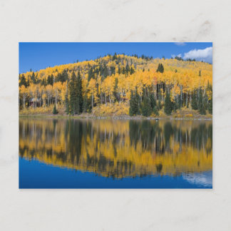 Beaver Lake in Autumn Postcard