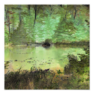 Beaver Lodge II: Digitally Transformed Forest Pond Photo Print