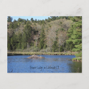 Beaver Lodge in COLEBROOK, CT Postcard
