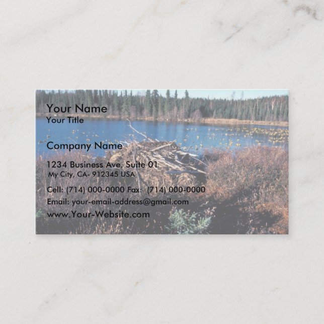 Beaver Lodge on Martin Lake Business Card (Front)