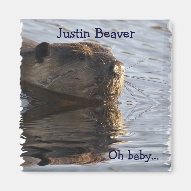 Beaver Magnets (Front)