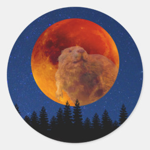 Beaver Moon in November Classic Round Sticker