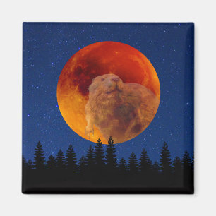 Beaver Moon in November Magnet